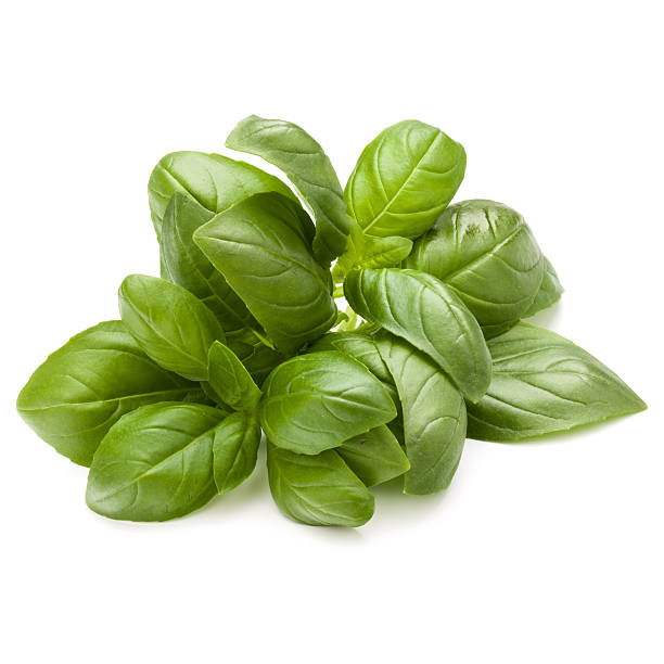 istock Sweet basil herb leaves bunch isolated on white background 639653850