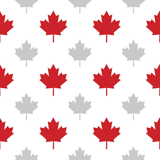 кленовые листья бесшовный узор - canada canadian culture leaf maple stock illustrations
