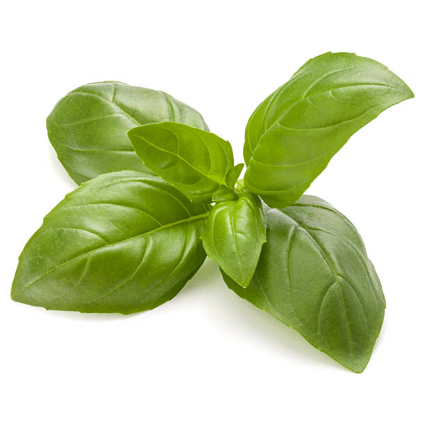 istock Sweet basil herb leaves isolated on white background closeup 639654268