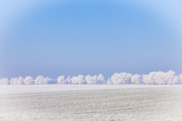 istock Snow white and blue sky winter landscape 639654598
