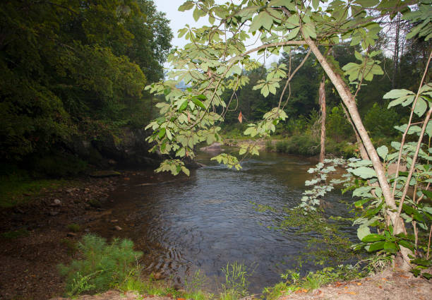 istock Trail overlooking Wilson Creek 639656700