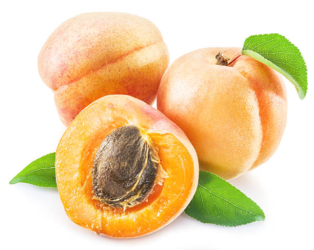 istock Apricots and its cross-section. 639658324