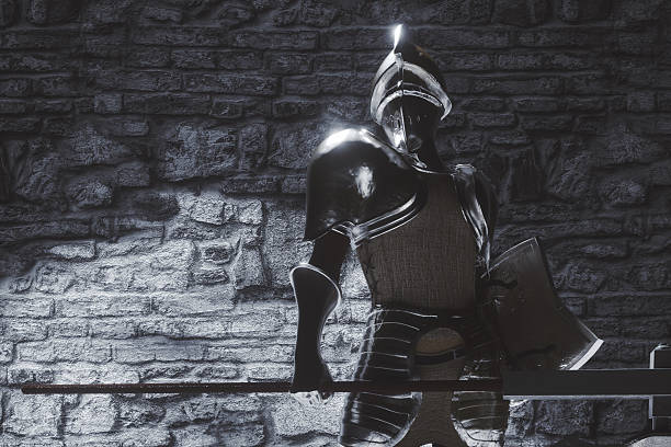 knight in armour standing in castle room - castle honor guard protection security guard imagens e fotografias de stock