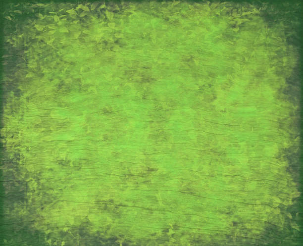 istock Greenery and wood textured grunge background 639666790