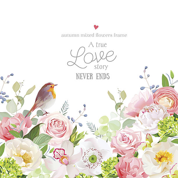 ilustrações, clipart, desenhos animados e ícones de quadro de estilo botânico com flores mistas no branco. - wedding invitation rose flower floral pattern