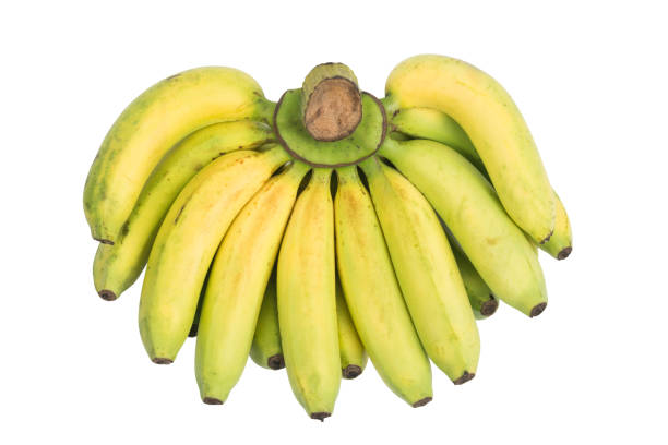 istock Cavendish banana isolated on white background 639672192