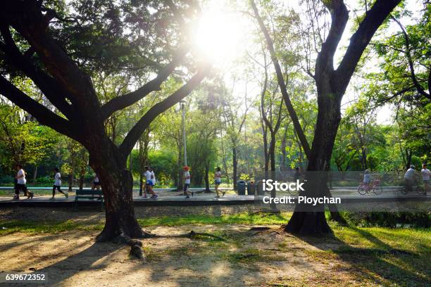 People Are Jogging And Cycling In The Public Park Stock Photo - Download Image Now - Public Park, Walking, Parking