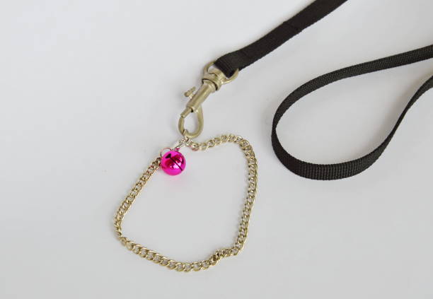 istock cat and dog necklace with black fabric leashes 639672468