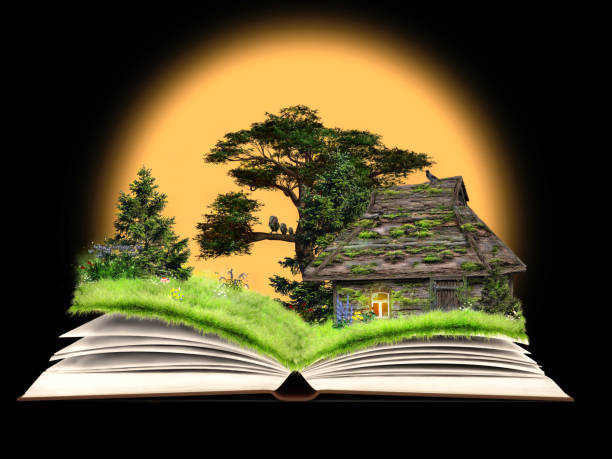 istock Fairy tale on the pages of an open book. 639674208