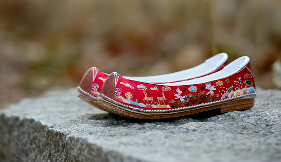 Korean flower shoes