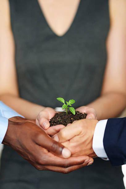 istock Helping business flourish together 639681370