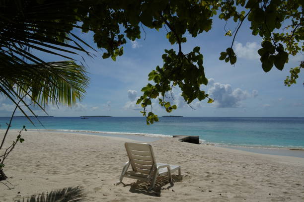istock Inviting deck chair at the beach 639681526
