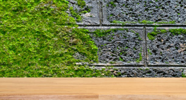 istock Empty wooden table on concrete with moss wall  background 639683762