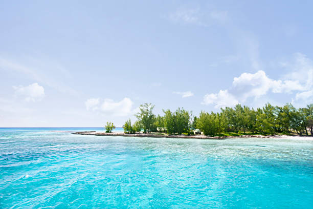 istock Island with trees with blue ocean view 639685126