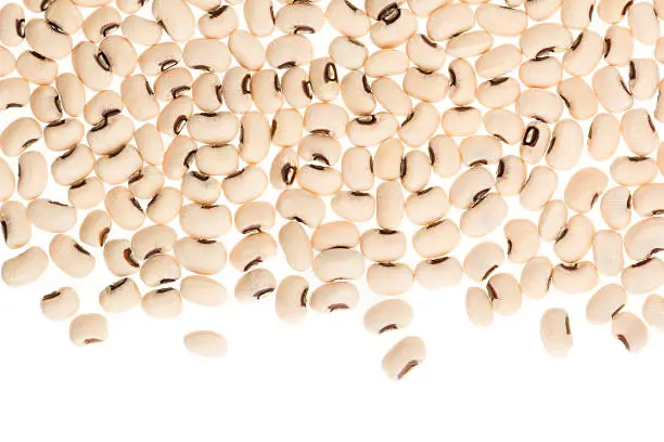 Border of white  kidney beans black eye closeup with copy space on white background. Isolated. Healthy protein food.