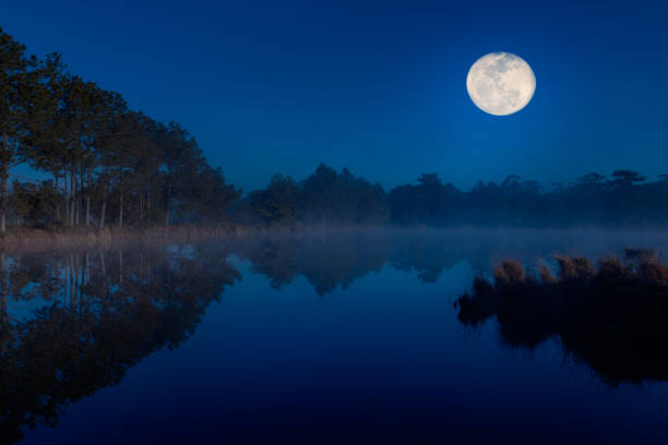 istock Winter lake at night time. 639693294