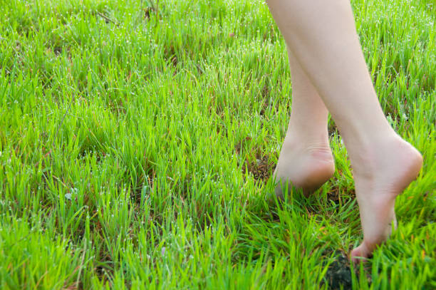 close-up de pernas femininas andando na grama verde descalço - human leg women shower water - fotografias e filmes do acervo