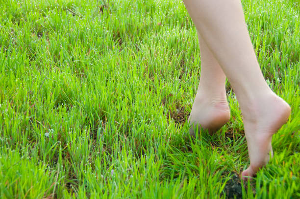 крупным планом женские ноги ходить по зеленой траве босиком - human leg women shower water стоковые фото и изображения