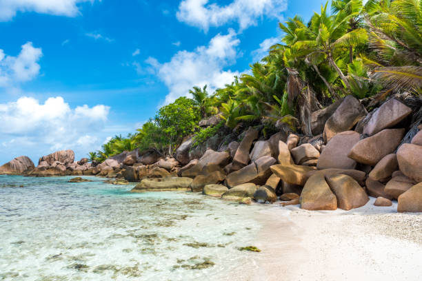 istock Anse Cocos - La Digue, Seychelles 639697350
