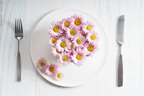 istock pink chrysanthemum flowers 639701924