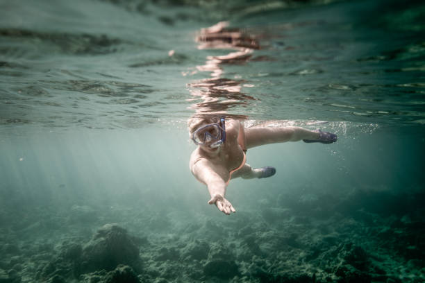 istock Underwater follow me 639705262