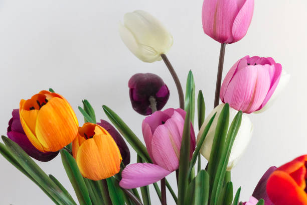 istock Artificial flowers symbolizing love and healing 639705990