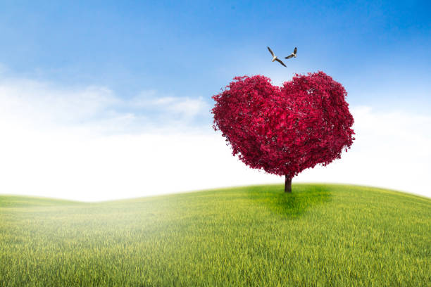 istock Tree in the shape of heart, valentines day background 639707086