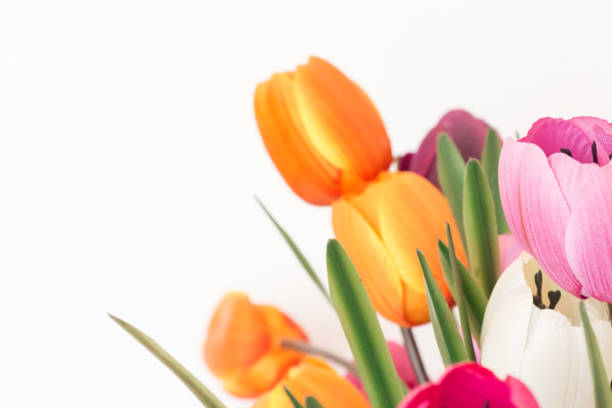 immitation plastic synthetic flowers with sterum showing and lar - fabrika lar stok fotoğraflar ve resimler