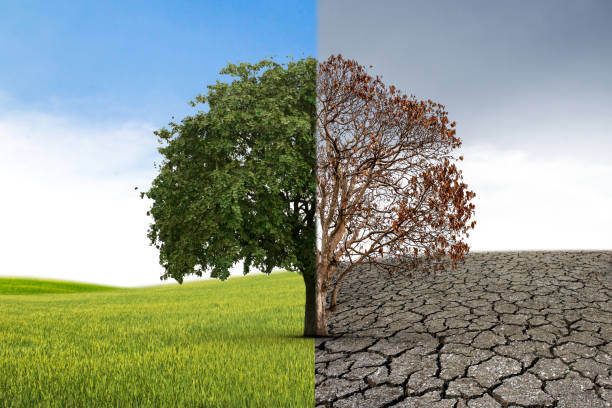 istock The concept of climate has changed. 639707576