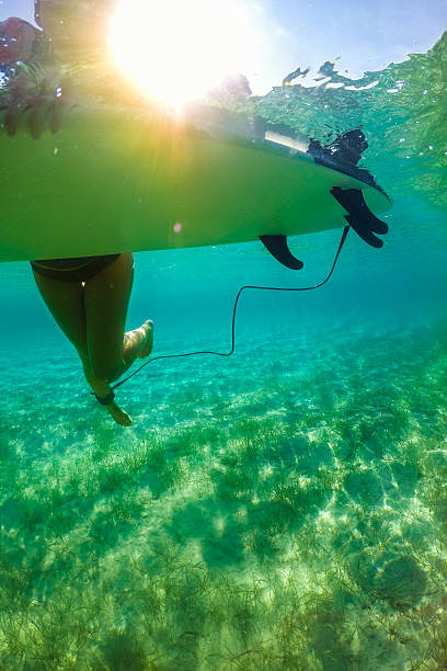 istock Surfer girl waiting for a perfect wave 639709796