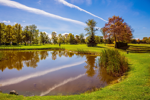 Small pond with a clay bottom. Green grass lawn and trees with autumn leaves - red, orange and yellow