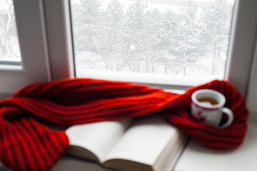 Cozy winter still life: mug of hot tea and opened book with warm plaid on modern windowsill against snow landscape from outside. Selective focus.