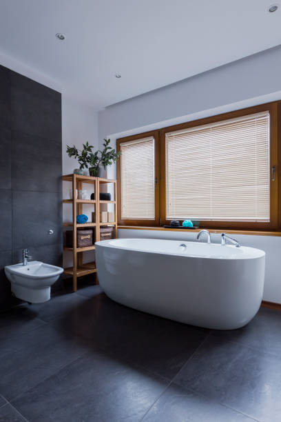 istock Free standing bathtub and bidet 639716292