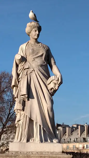 Pigeon on head of statuary in Tuileries Gardens Paris France