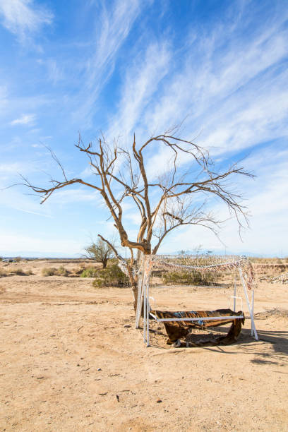 Desert Landscape, Saddleback Butte park, California