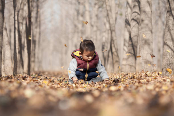 istock Chinese baby boy playing in ginkgo woods 639728004