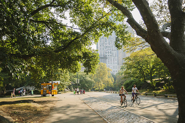 nyc skyline with central park
