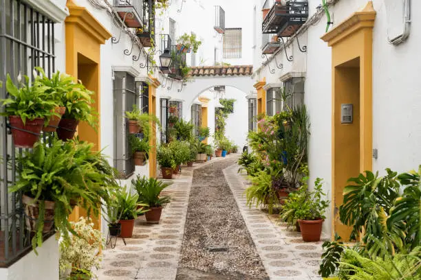 Cordoba (Andalucia, Spain): old typical street in the Juderia