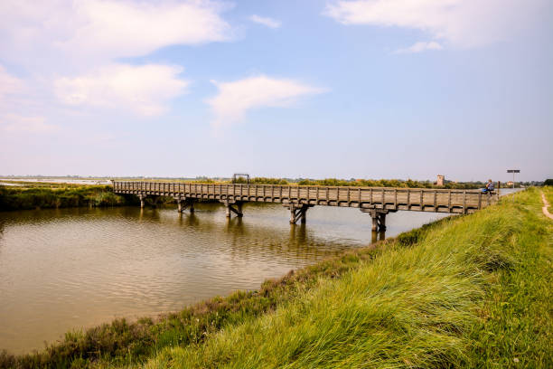istock Landscape The Po Delta 639733902