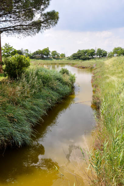istock Landscape The Po Delta 639733904