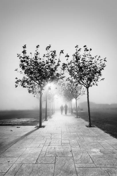 istock couple walking on path at night illuminated with streetlamps 639734742