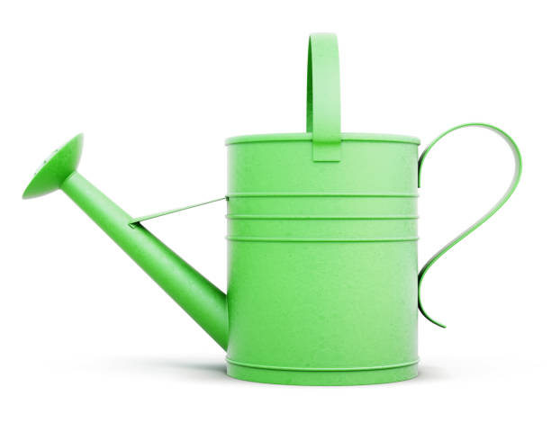 istock Green metal watering can isolated on white background. Front vie 639737214
