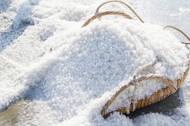 istock Making of sea salt 639739690