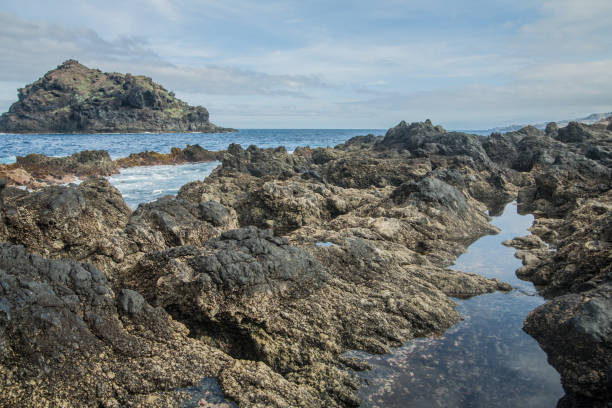 istock Natural water pools in Garachico 639743182