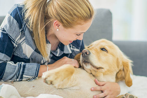 istock Adopting a New Dog 639745680
