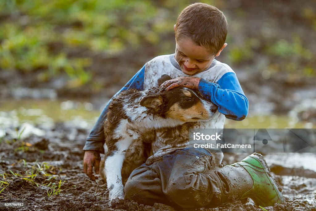 Playfully Making a Mess in the Mud An elementary age boy is playing outside in the mud with his pet puppy. The little boy and the dog are covered in mud. Child Stock Photo