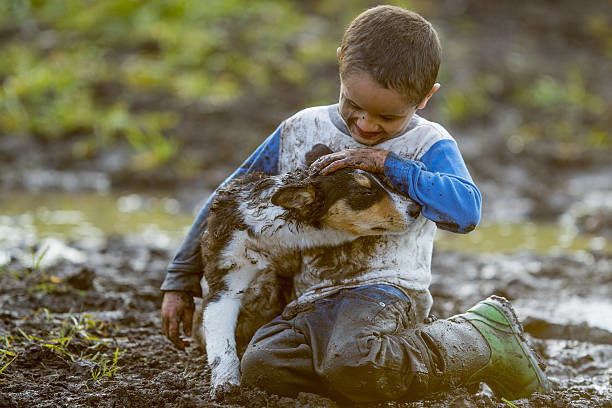 Playfully Making a Mess in the Mud An elementary age boy is playing outside in the mud with his pet puppy. The little boy and the dog are covered in mud. kids dirty shoes stock pictures, royalty-free photos & images