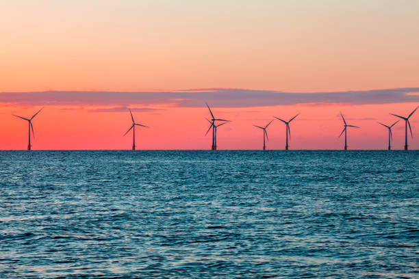 istock Offshore wind farm at sunrise 639747116