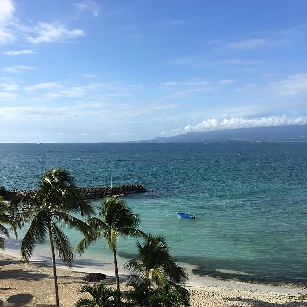 istock Guadeloupe Beach in Sunny Day with Palm Tree 639753848