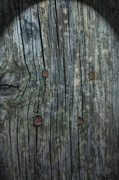 istock Natural rustic aged wood texture background 639753930